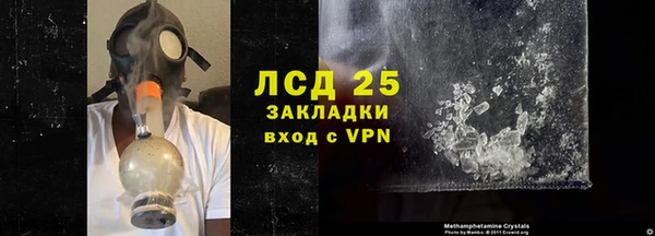 винт Липки