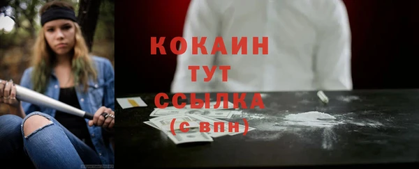 винт Липки