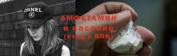 шишки Осинники