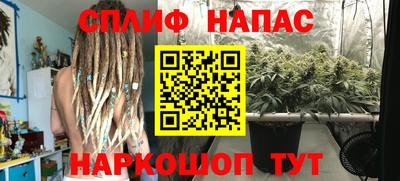 прущие крисы Гай