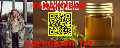 прущие крисы Гай