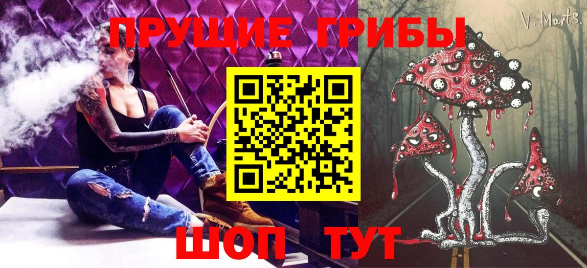 где продают   Псилоцибиновые грибы ЛСД  Алейск  Псилоцибиновые грибы Magic Shrooms 