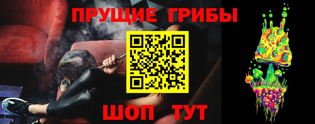 Алейск  Галлюциногенные грибы Magic Shrooms  Галлюциногенные грибы Magic Shrooms  Вход с VPN 