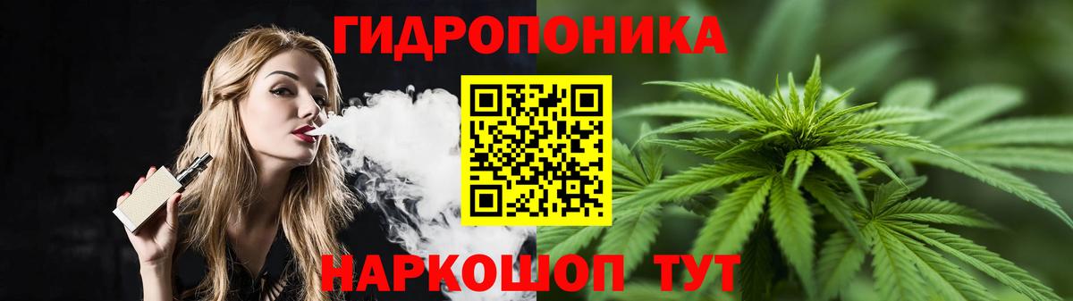 Марихуана марихуана  МАРИХУАНА Amnesia  Вход с VPN  Бошки Шишки Bruce Banner  Алейск  Марихуана гибрид 